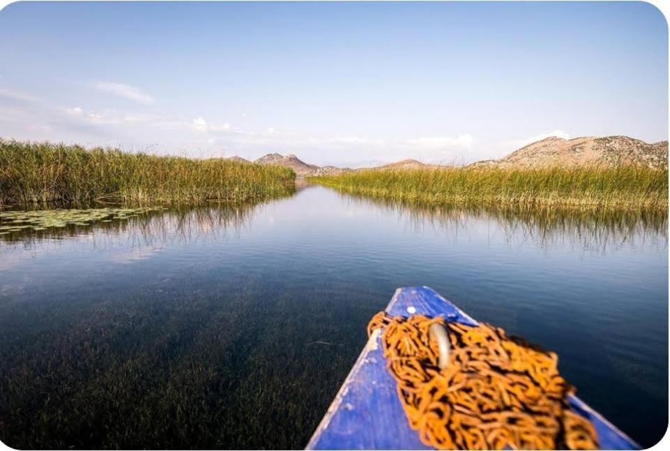 Holiday Home Haustor With Skadar Lake View Podgorica Buitenkant foto