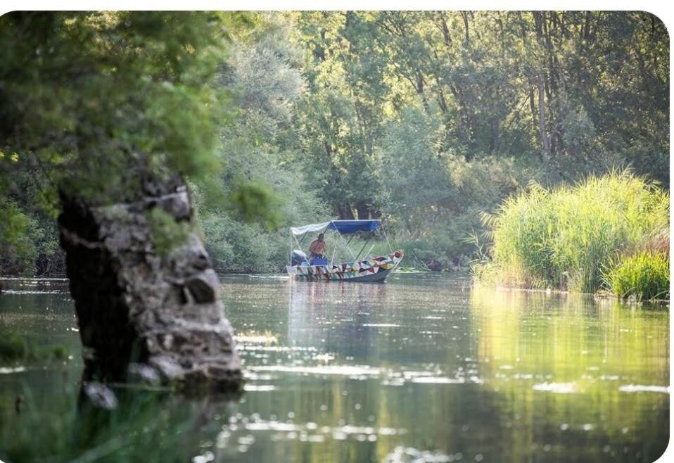Holiday Home Haustor With Skadar Lake View Podgorica Buitenkant foto