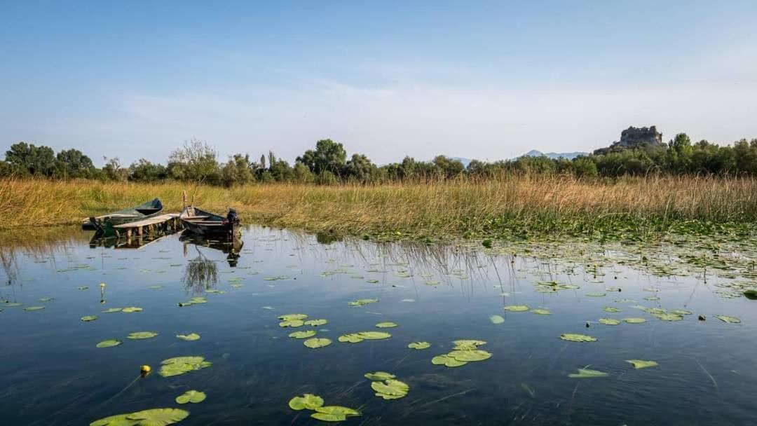 Holiday Home Haustor With Skadar Lake View Podgorica Buitenkant foto