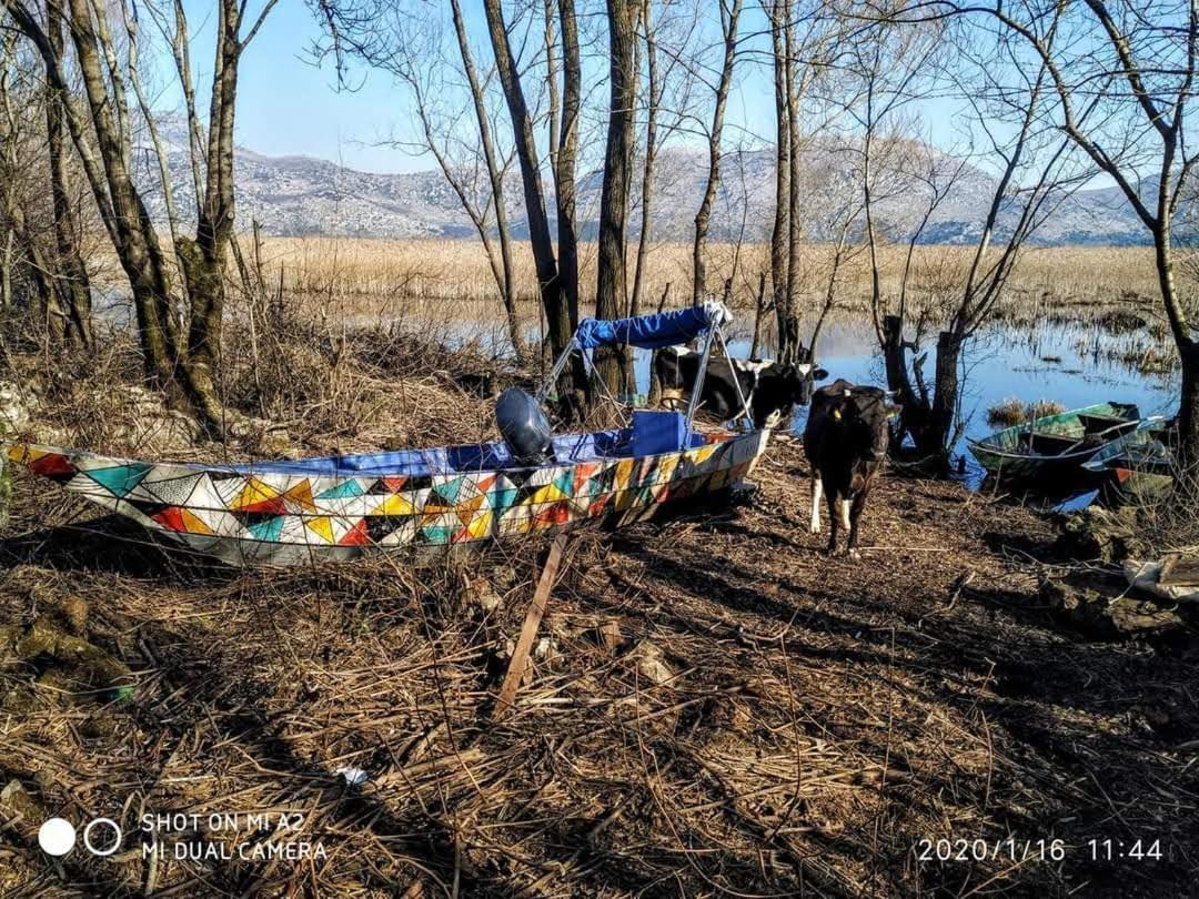 Holiday Home Haustor With Skadar Lake View Podgorica Buitenkant foto
